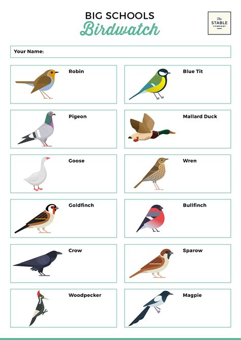 Printable Bird Checklist